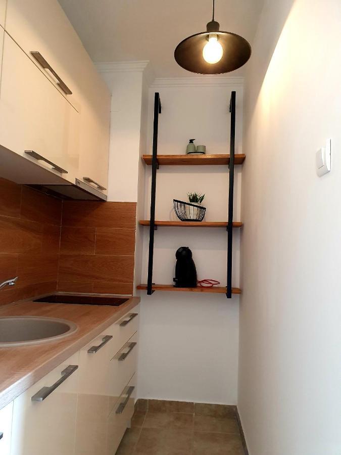 Anja & Ogo Apartments Sea View & Pool Petrovac Εξωτερικό φωτογραφία